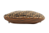 Oyster, top view